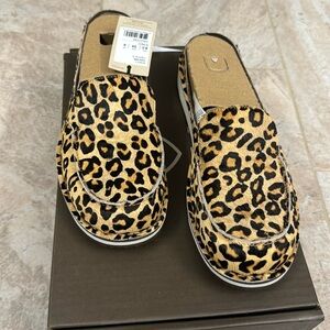 ARIAT cruiser slide